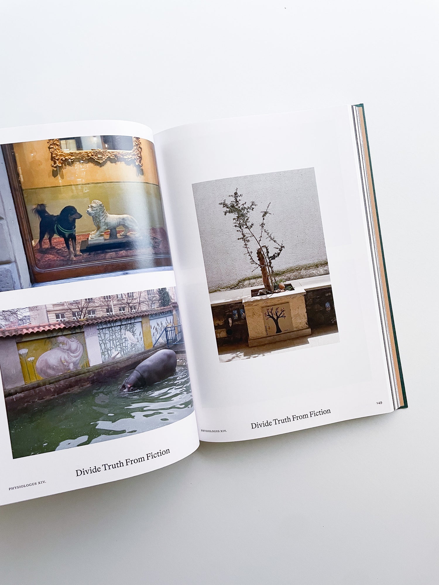 Bestiary / Anne Geene, Arjan de Nooy