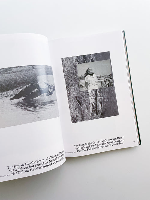 Bestiary / Anne Geene, Arjan de Nooy