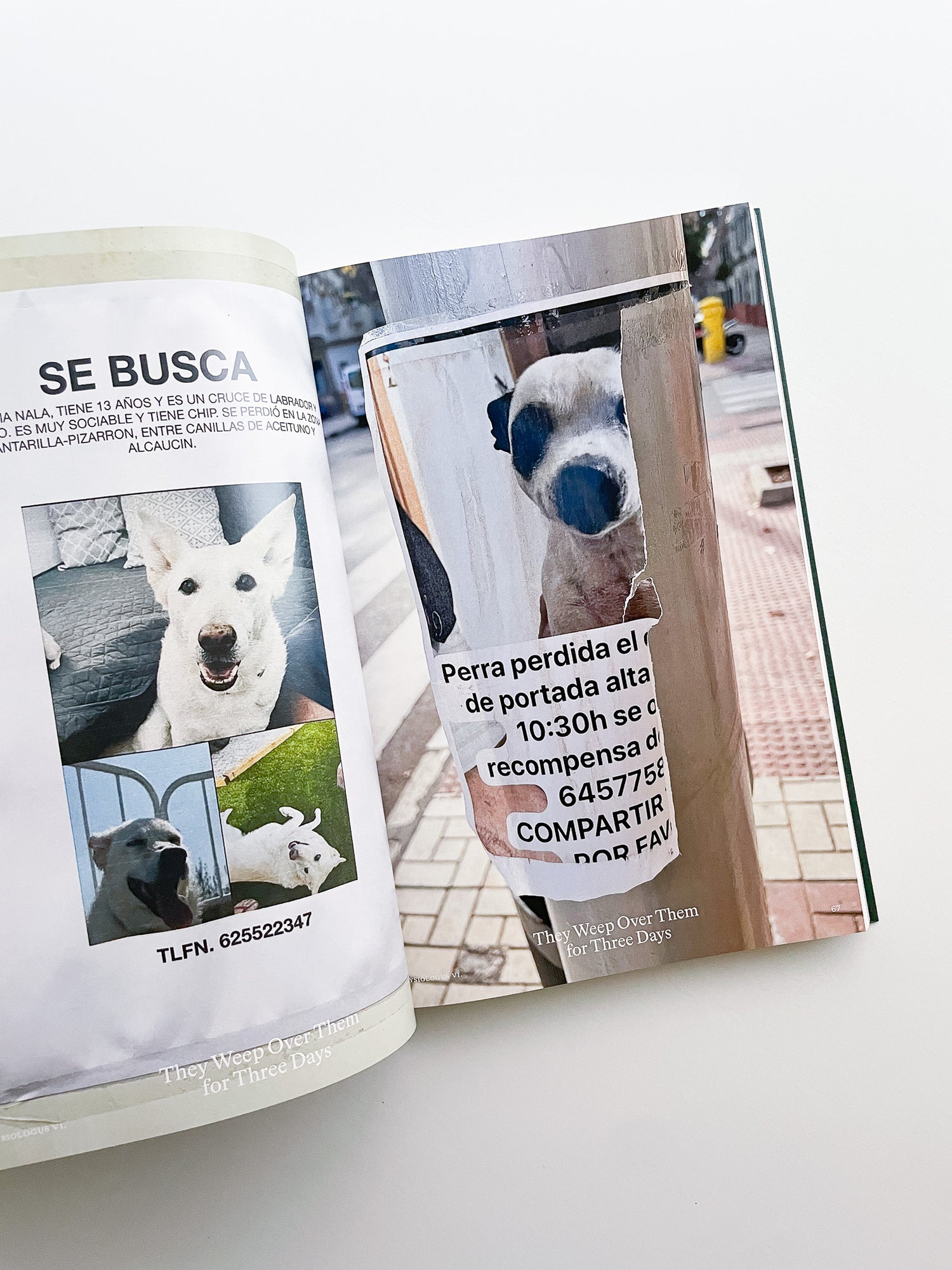 Bestiary / Anne Geene, Arjan de Nooy