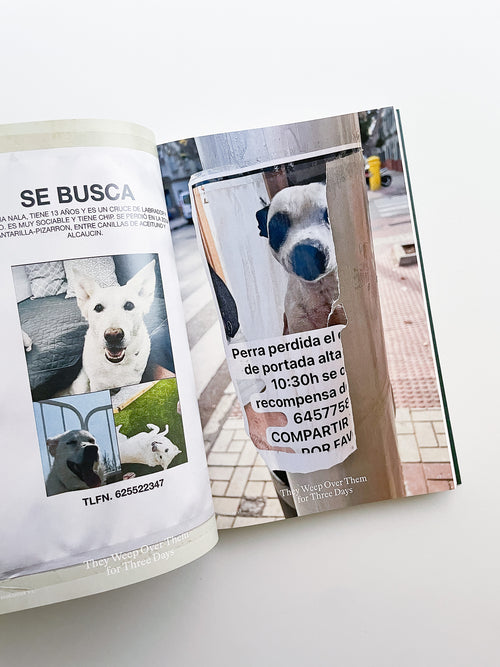 Bestiary / Anne Geene, Arjan de Nooy