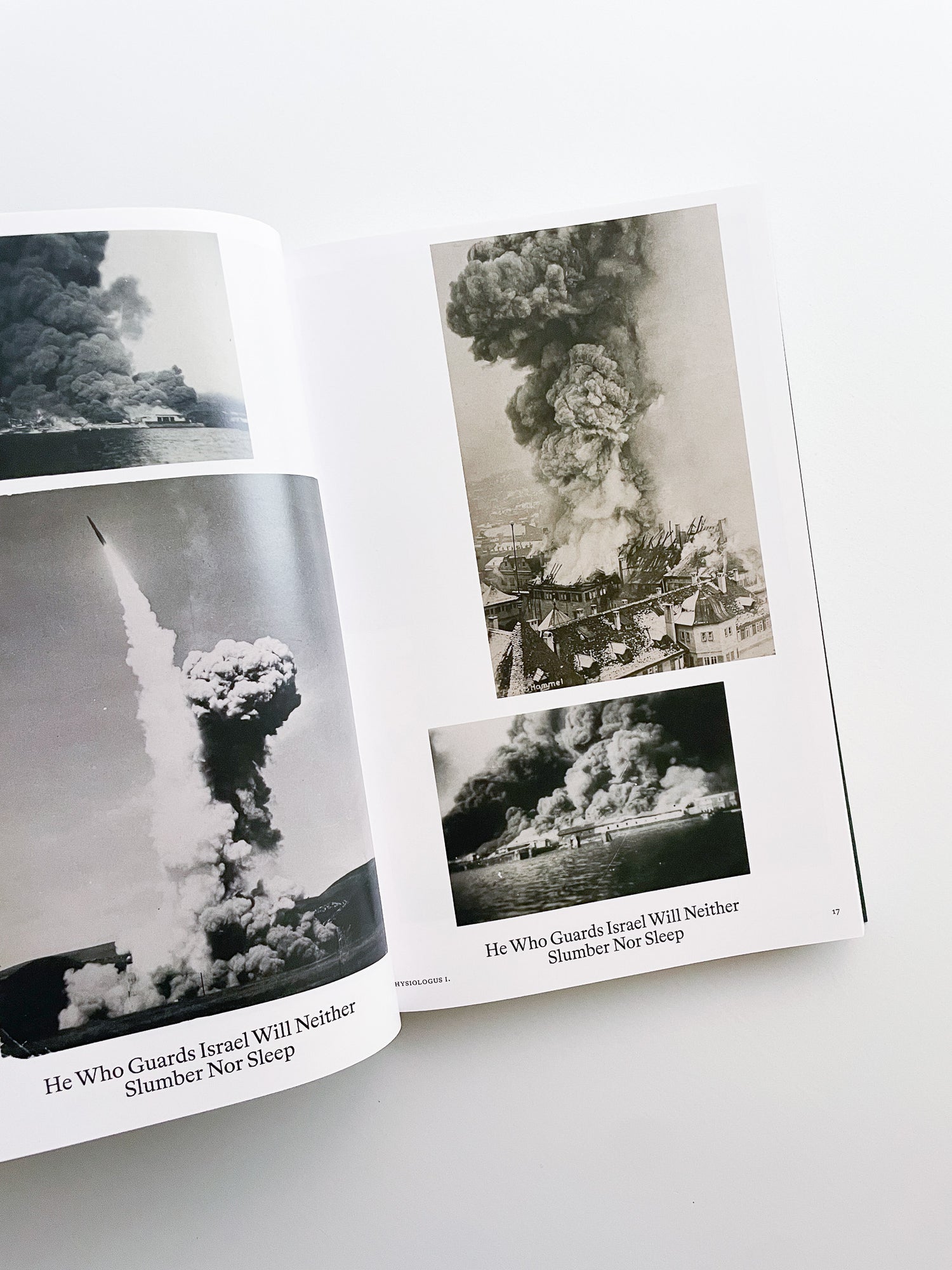 Bestiary / Anne Geene, Arjan de Nooy