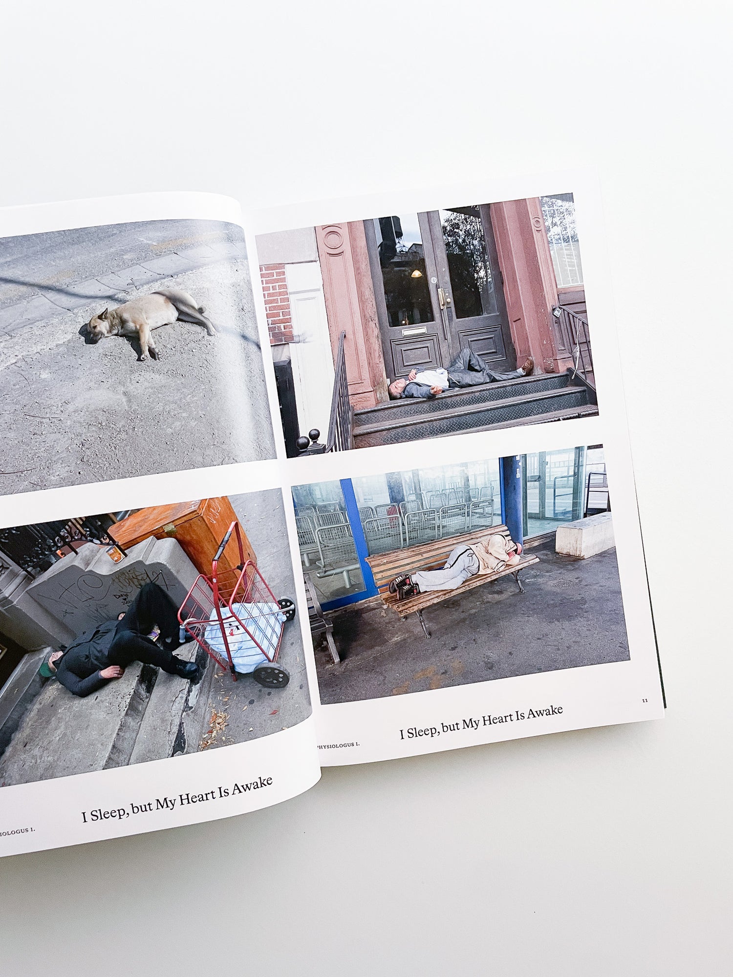 Bestiary / Anne Geene, Arjan de Nooy