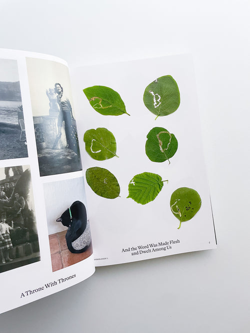 Bestiary / Anne Geene, Arjan de Nooy