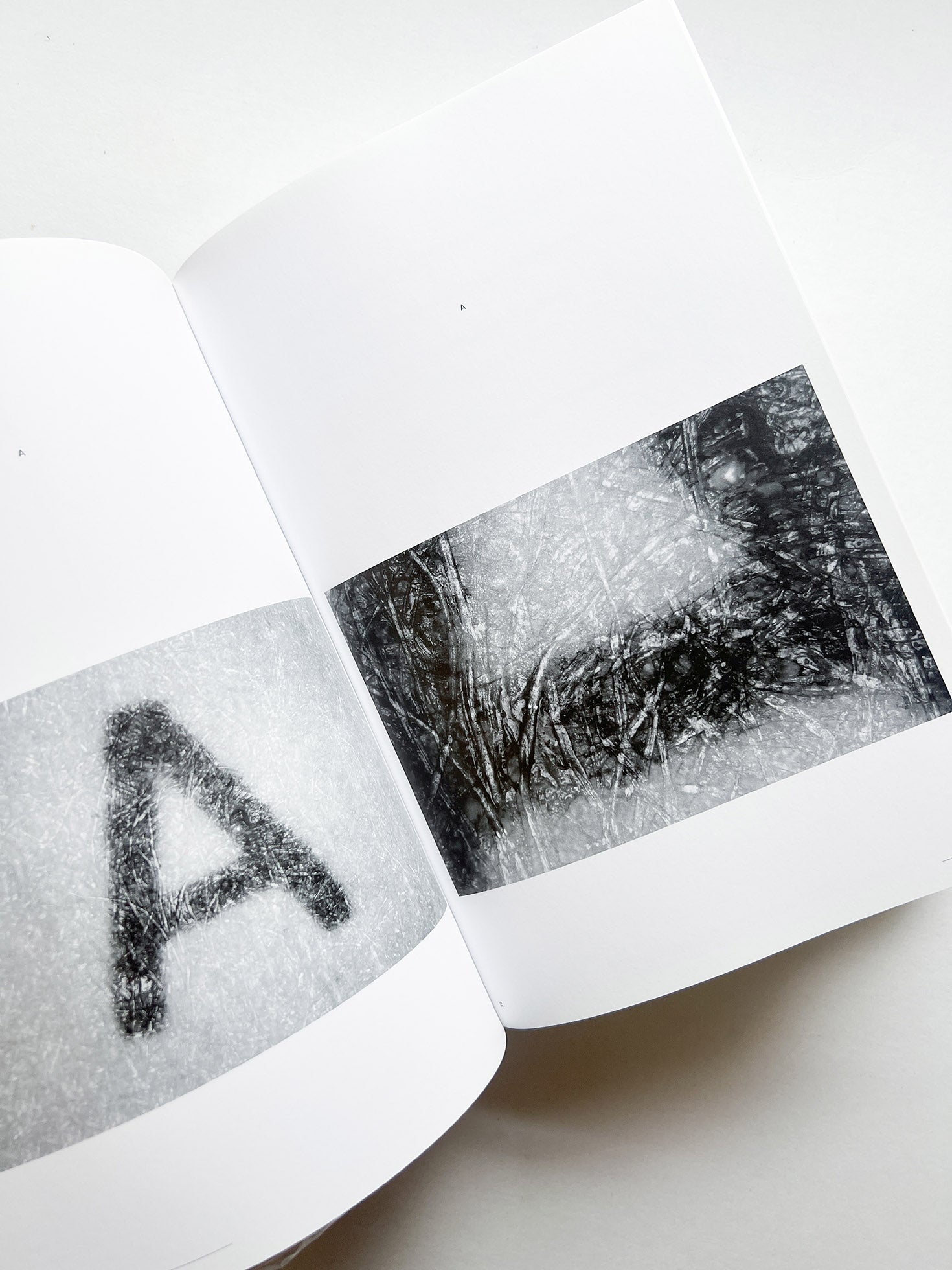 Dimension of Two / Norm - 本屋青旗 Ao-Hata Bookstore