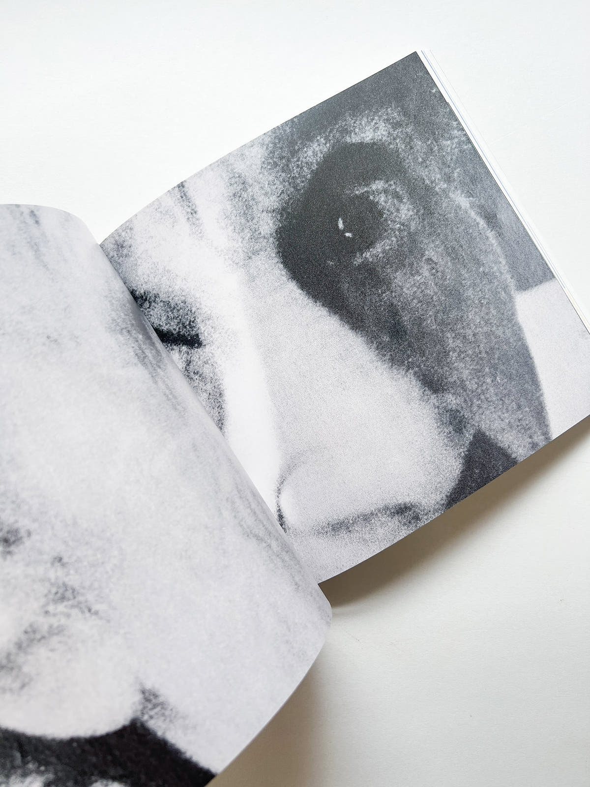 Fifty years of paper 1961-2011 / Bruno Monguzzi