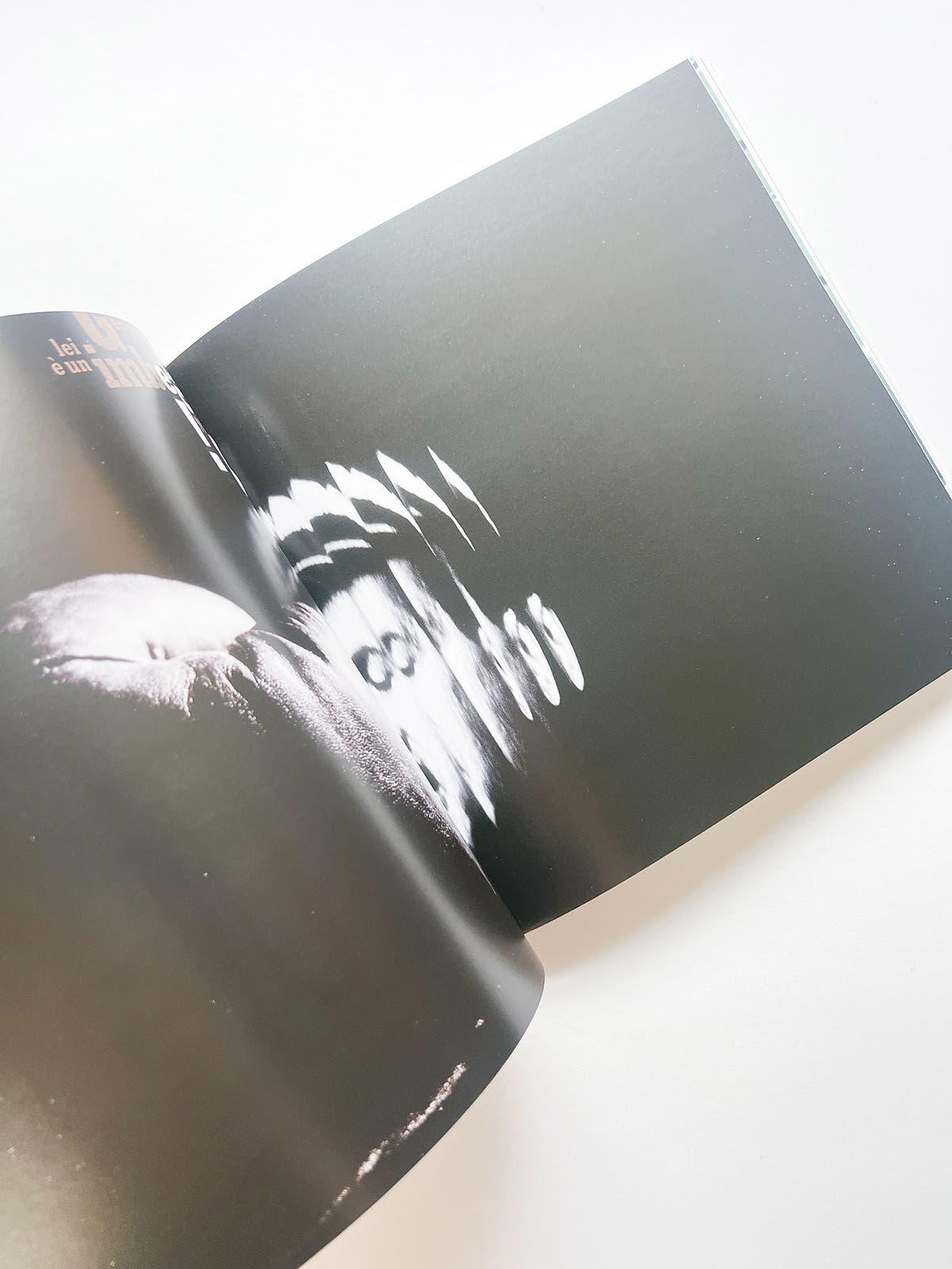 Fifty years of paper 1961-2011 / Bruno Monguzzi