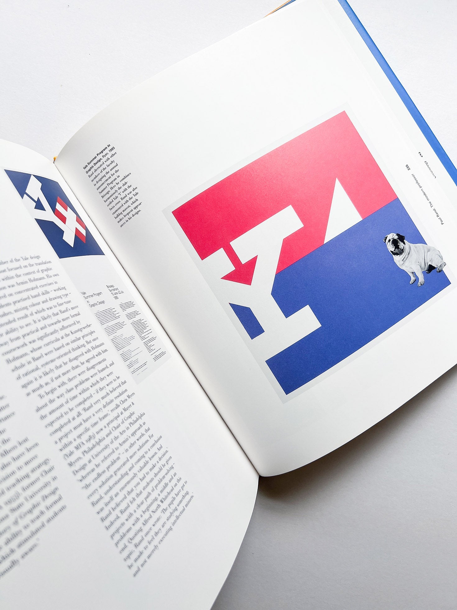 Paul Rand / Steven Heller