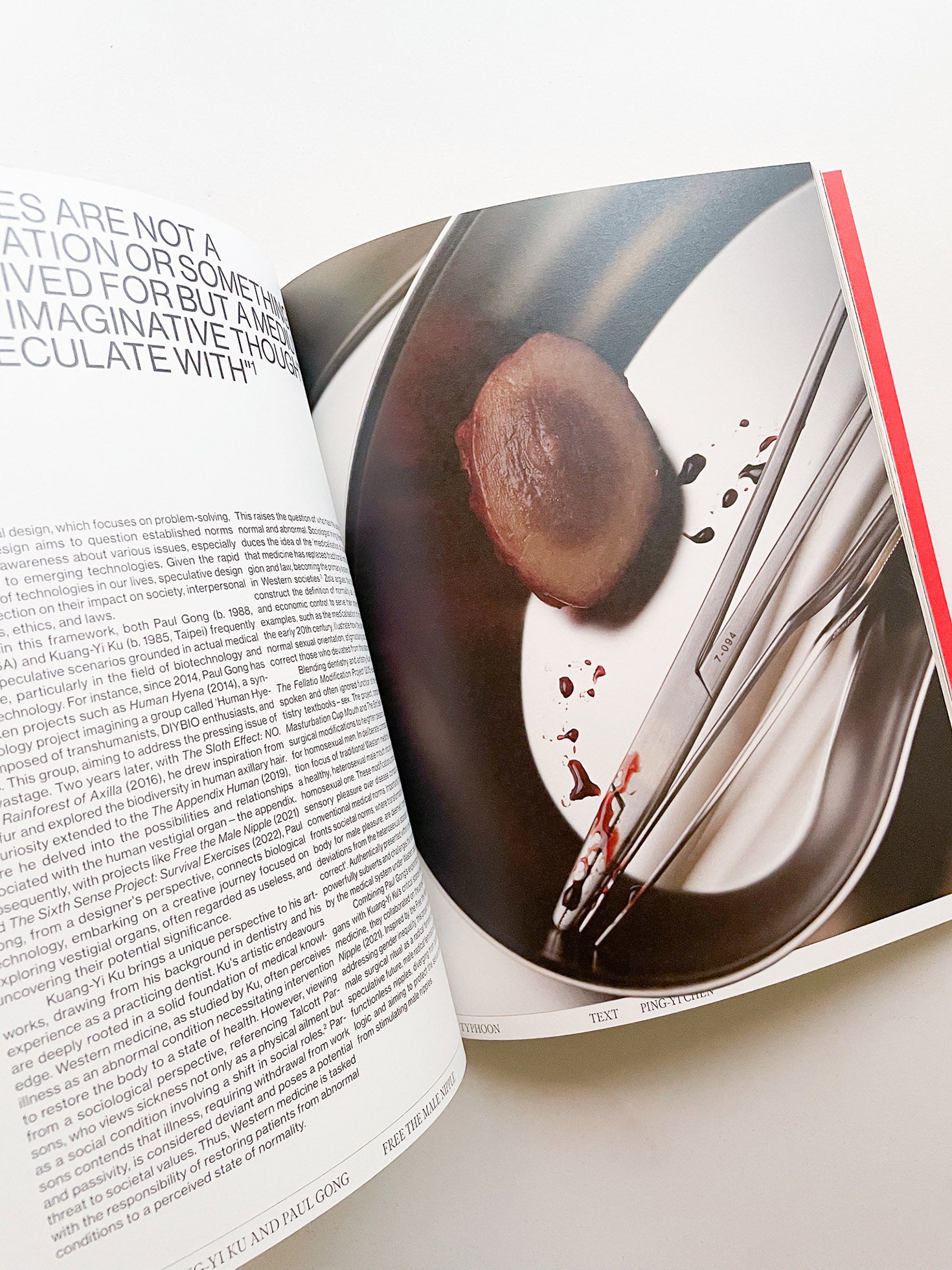 TYPHOON: In the Eye of Taiwan’s New Artistic Whirlwinds