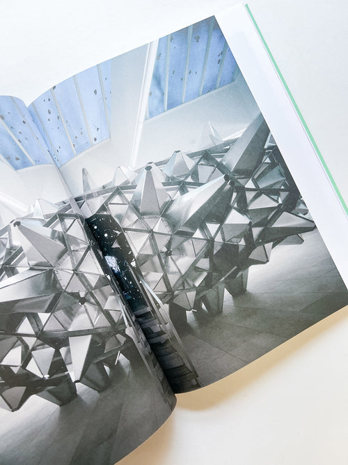 2G 93: STUDIO OTHER SPACES: OLAFUR ELIASSON & SEBASTIAN BEHMANN