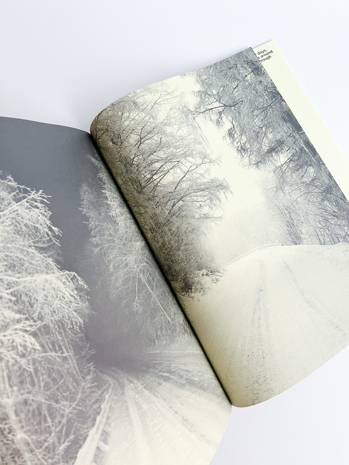 Road to The Farm / Ola Rindal  [SIGNED]