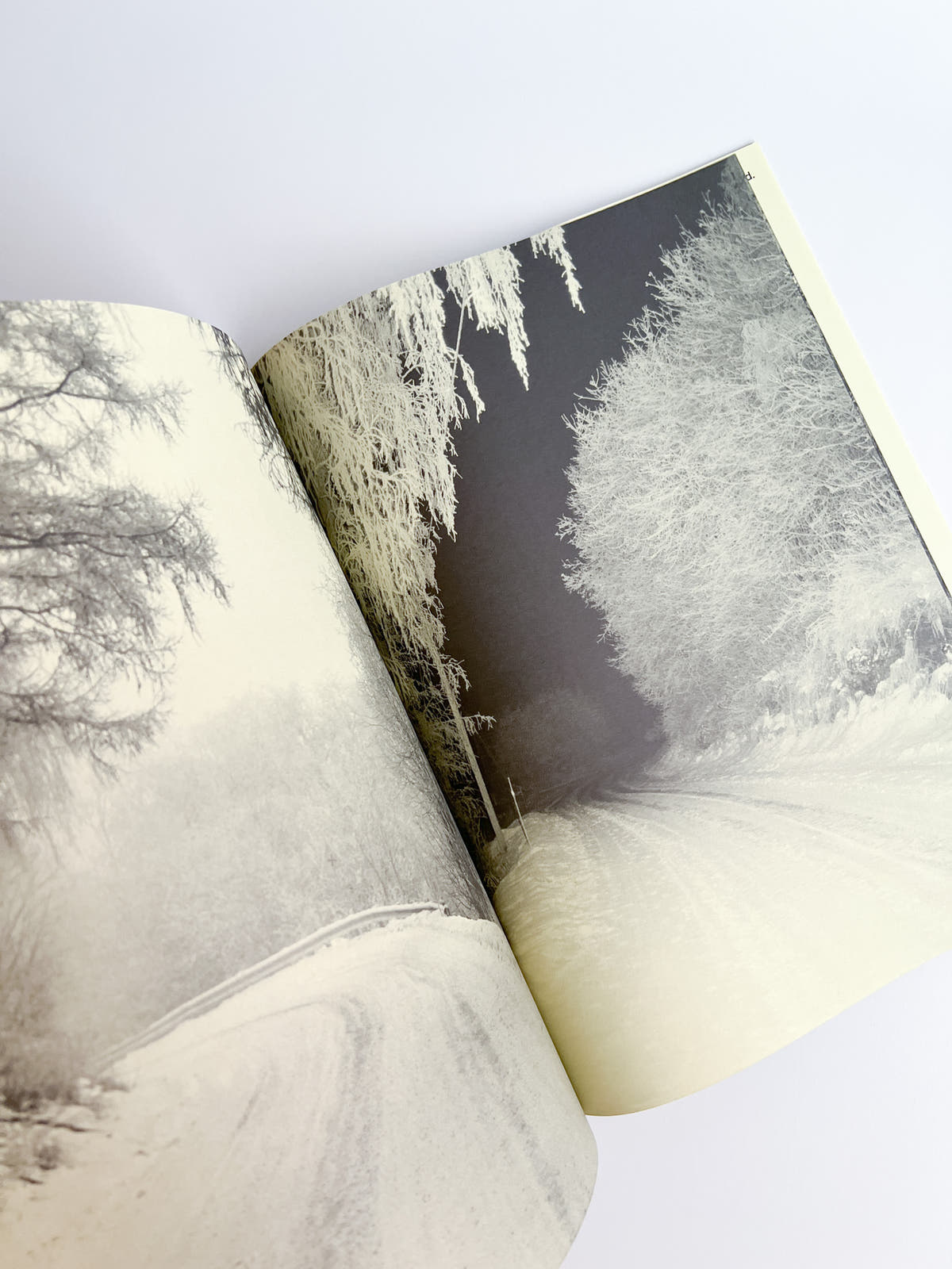 Road to The Farm / Ola Rindal  [SIGNED]