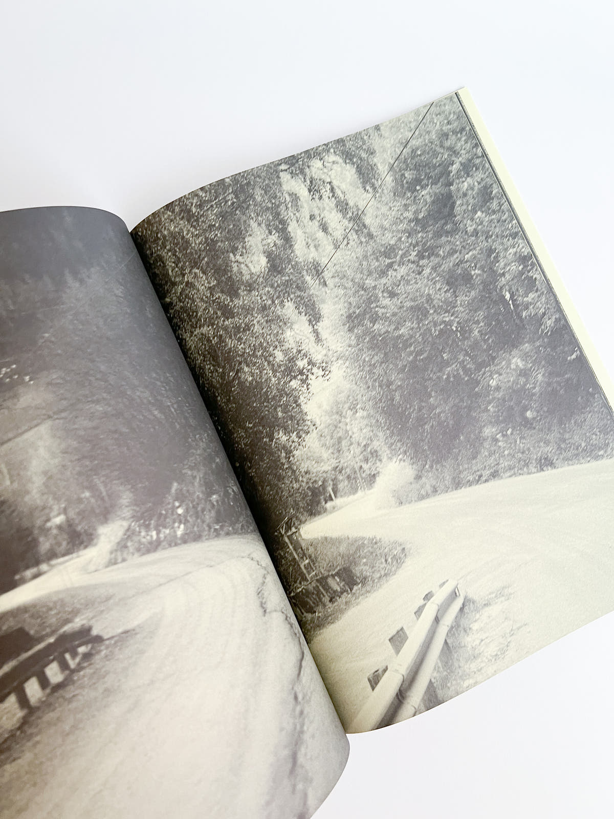 Road to The Farm / Ola Rindal  [SIGNED]