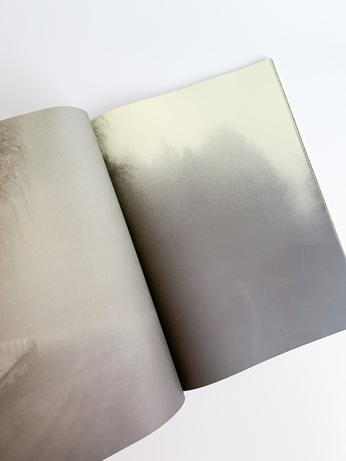 Road to The Farm / Ola Rindal  [SIGNED]