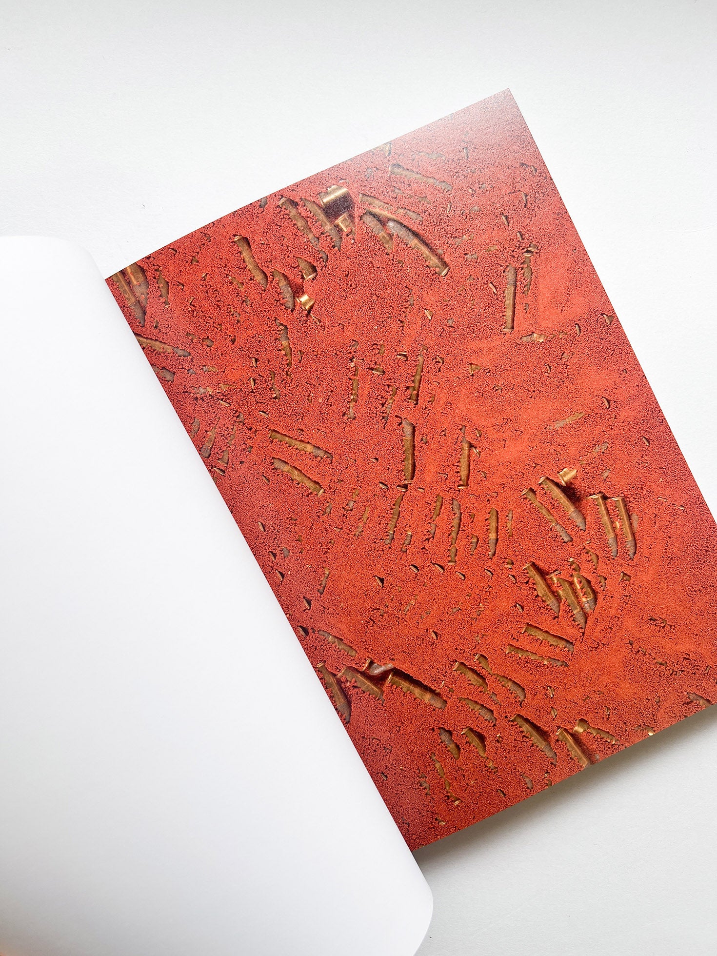 SPELL, TIME, PRACTICE, AMERICAN, BODY RAMELL ROSS / RaMell Ross