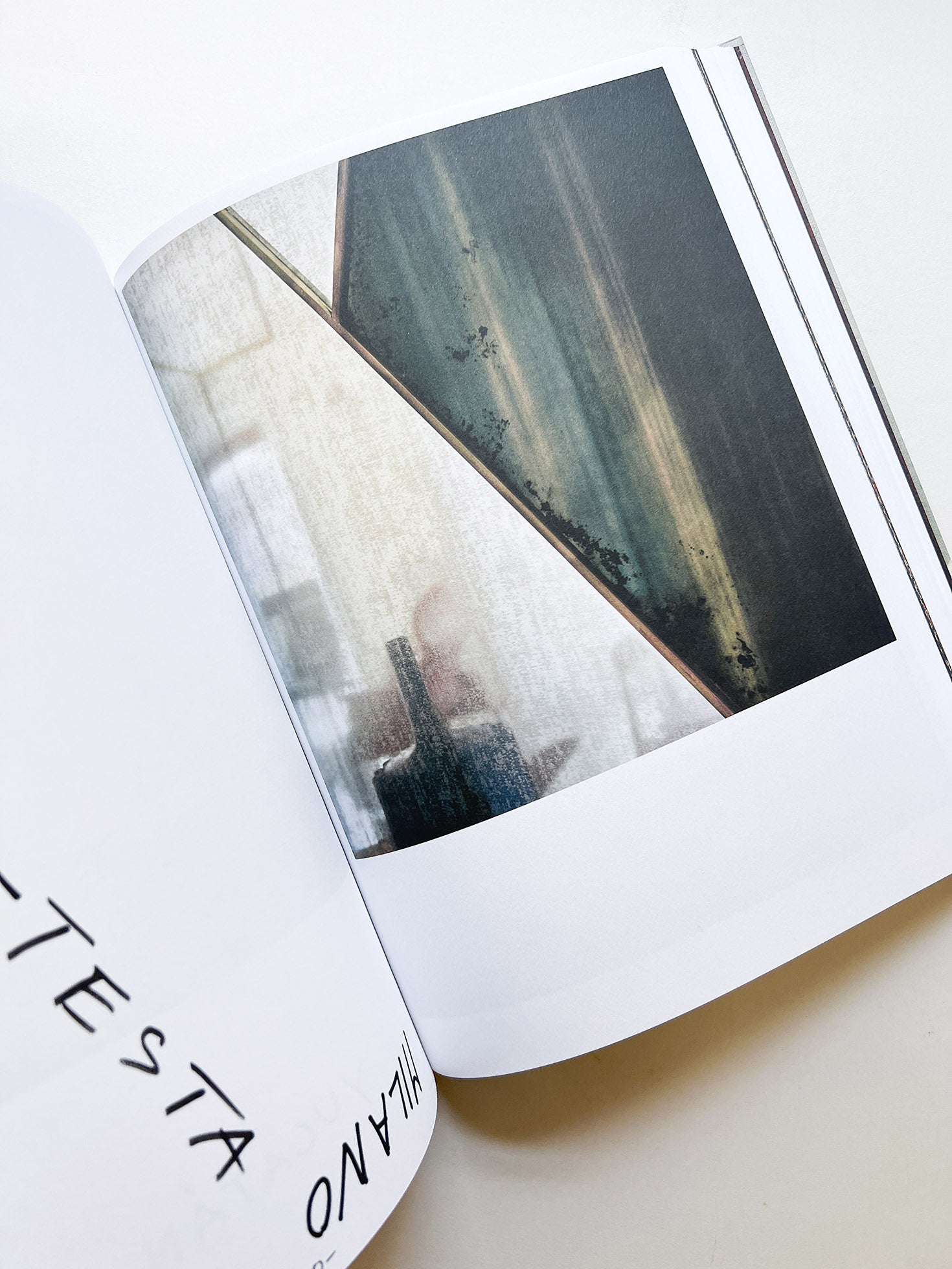 FRANÇOIS HALARD 2: A VISUAL DIARY / Francois Halard