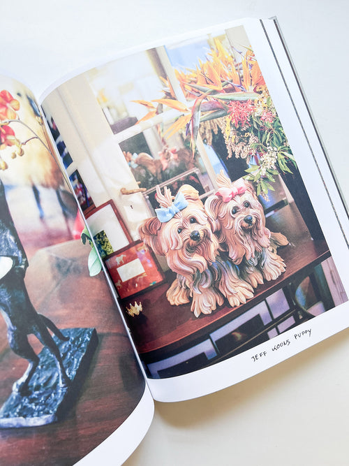 FRANÇOIS HALARD 2: A VISUAL DIARY / Francois Halard