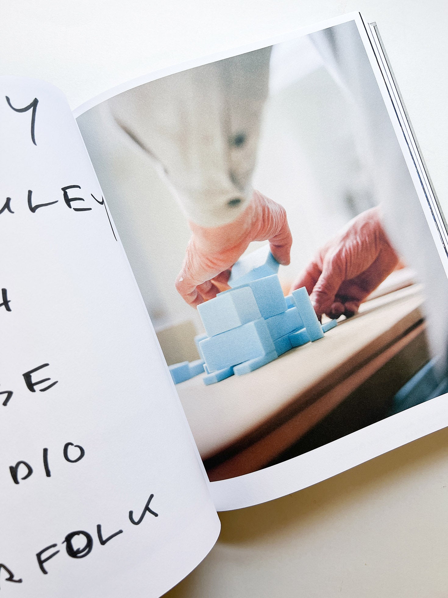 FRANÇOIS HALARD 2: A VISUAL DIARY / Francois Halard