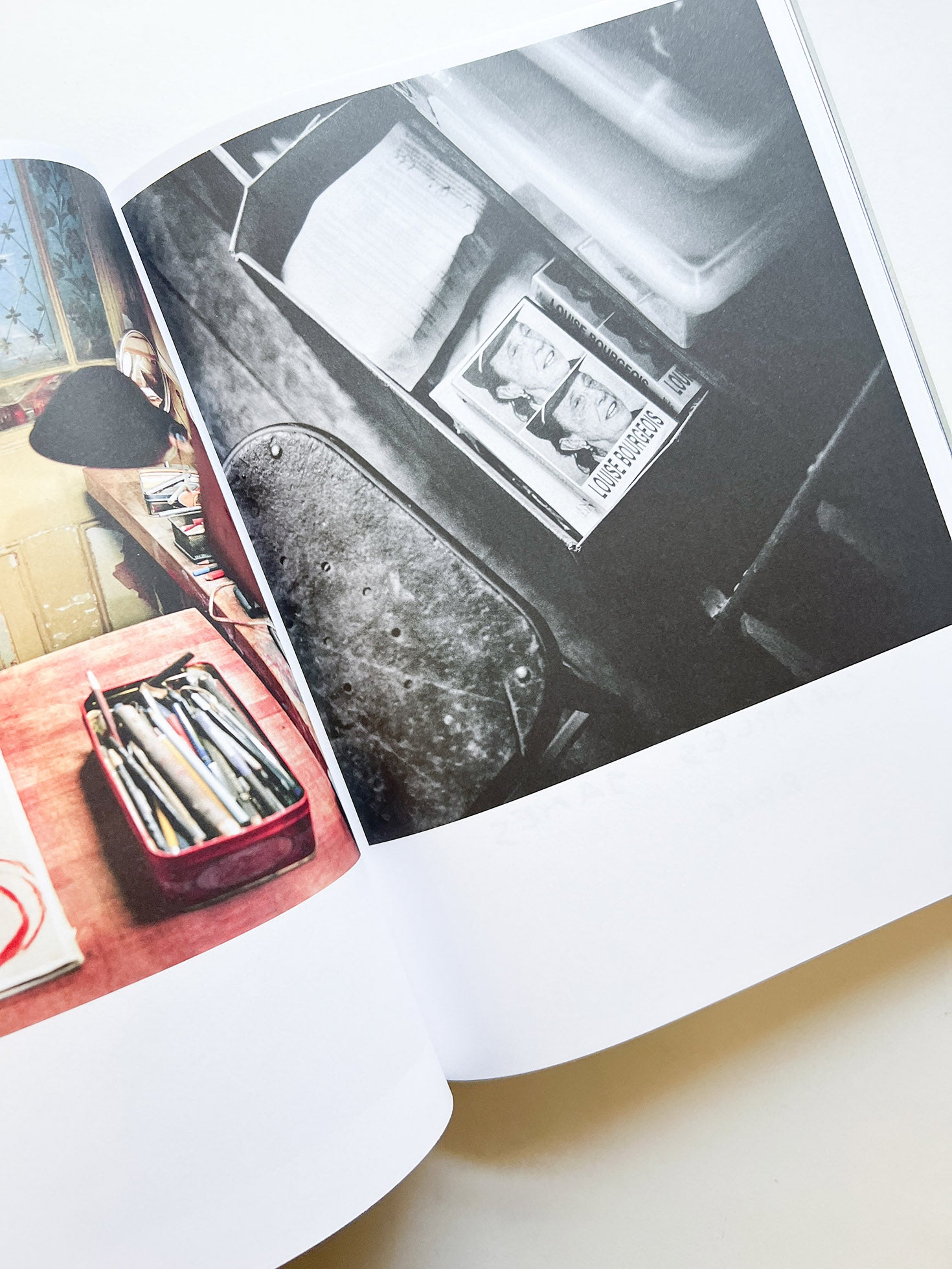 FRANÇOIS HALARD 2: A VISUAL DIARY / Francois Halard