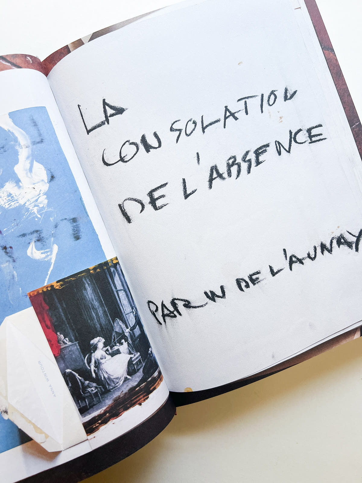 FRANÇOIS HALARD 2: A VISUAL DIARY / Francois Halard