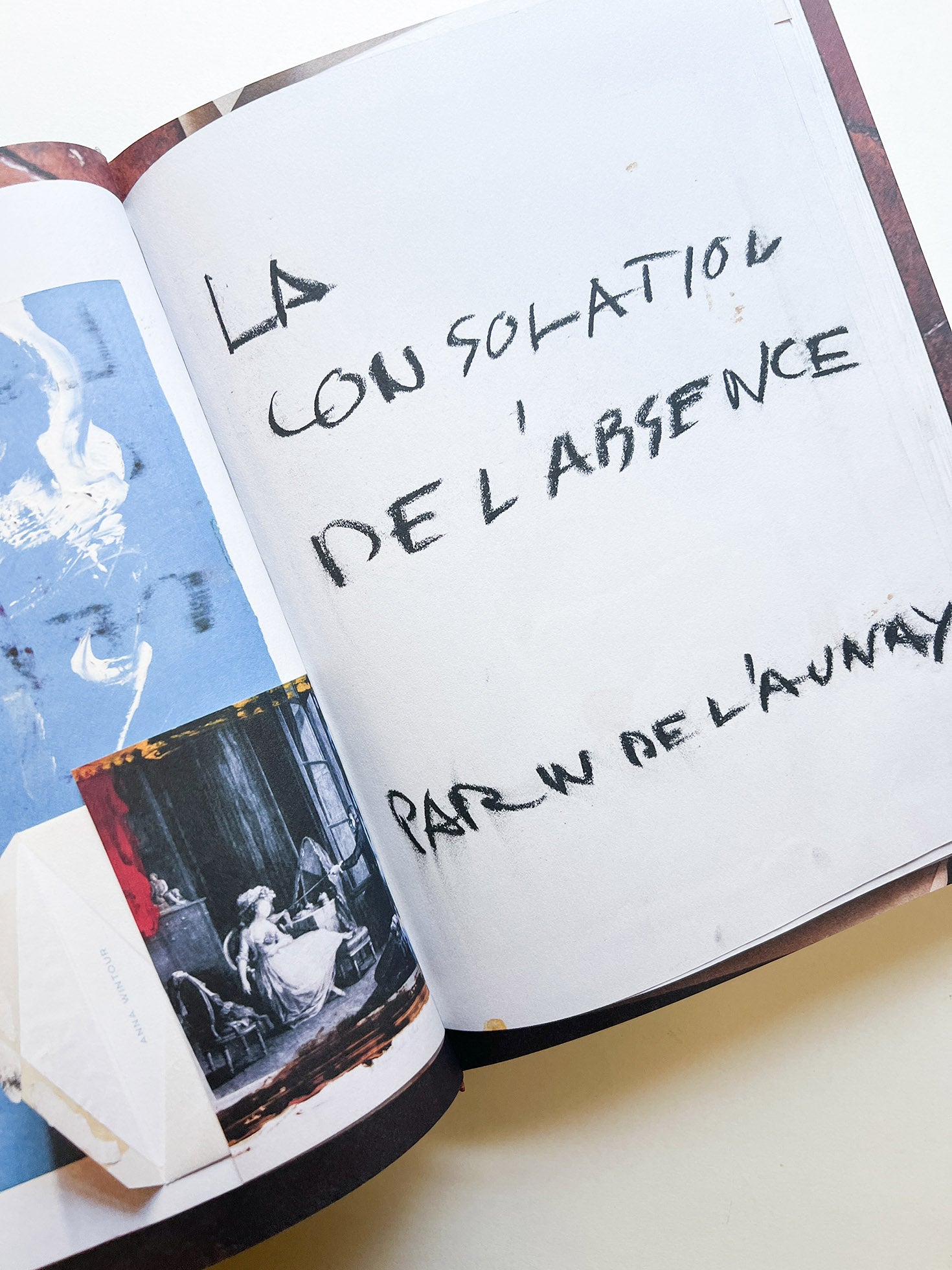 FRANÇOIS HALARD 2: A VISUAL DIARY / Francois Halard