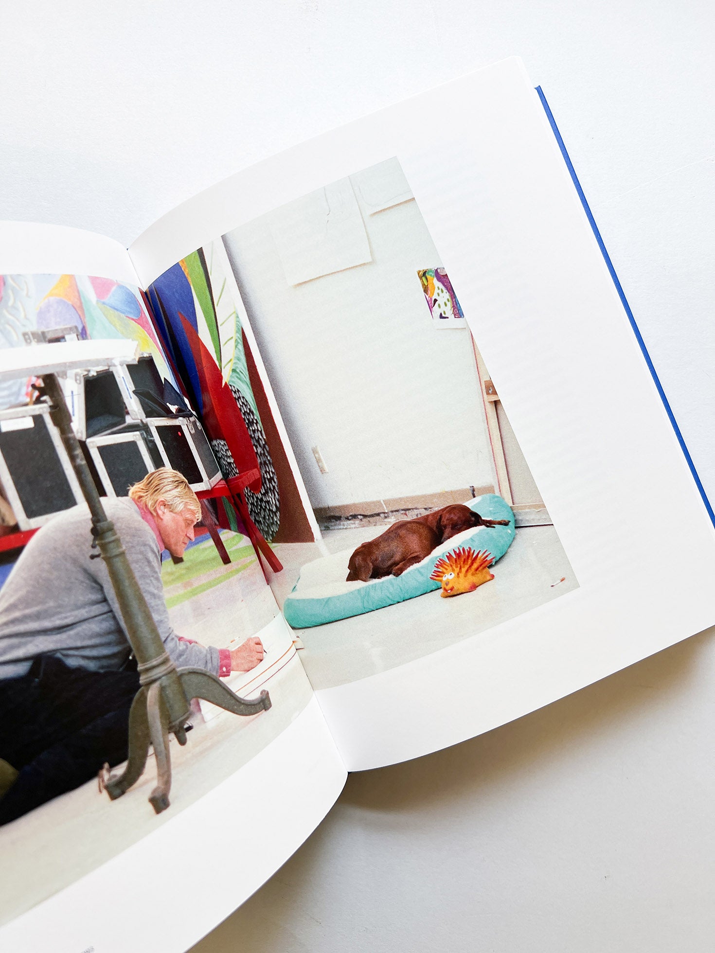 THE HOCKNEY INTERVIEWS / Hans Ulrich Obrist, David Hockney