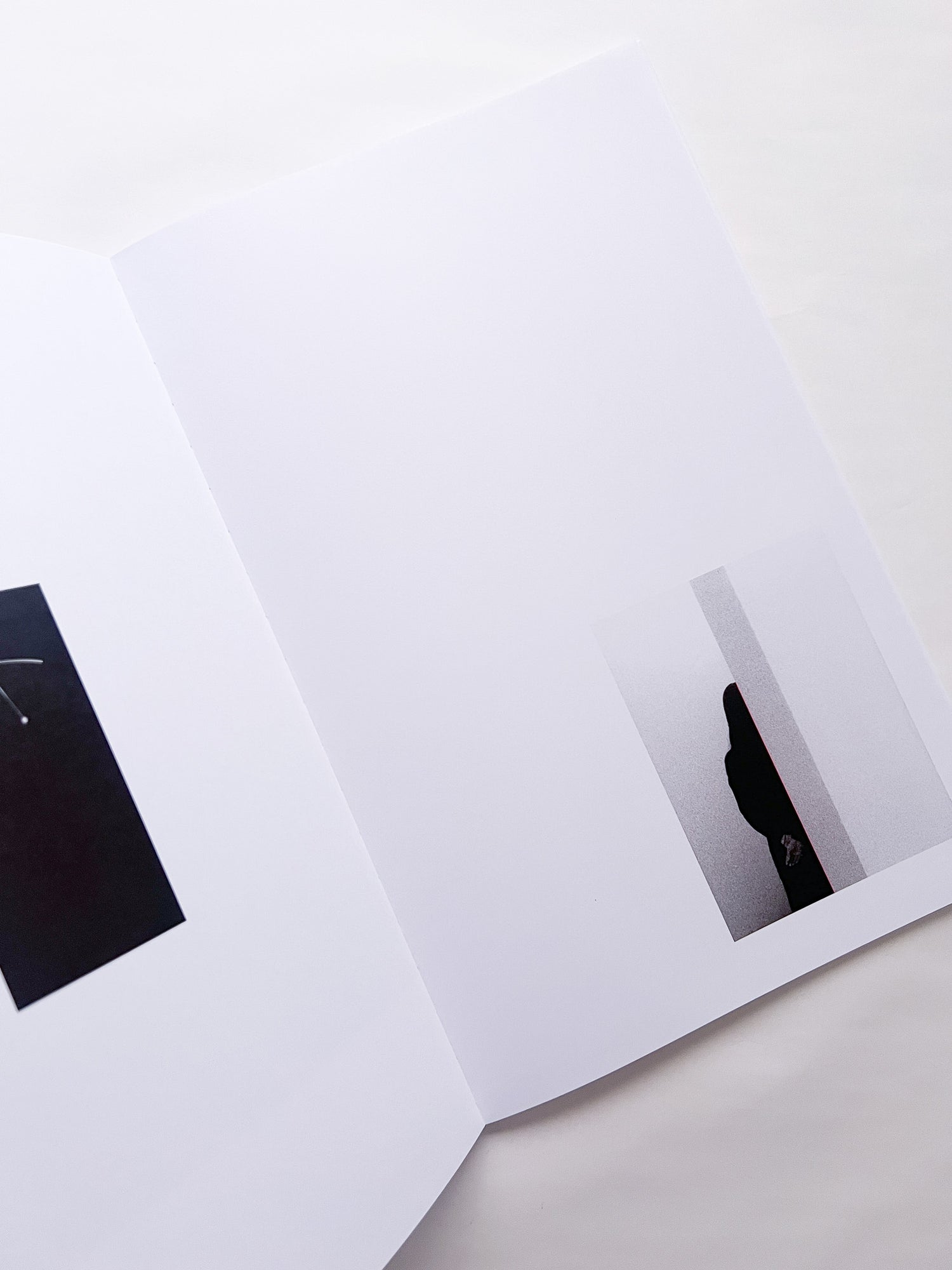 石と桃 counterpoint / Kazuhei Kimura