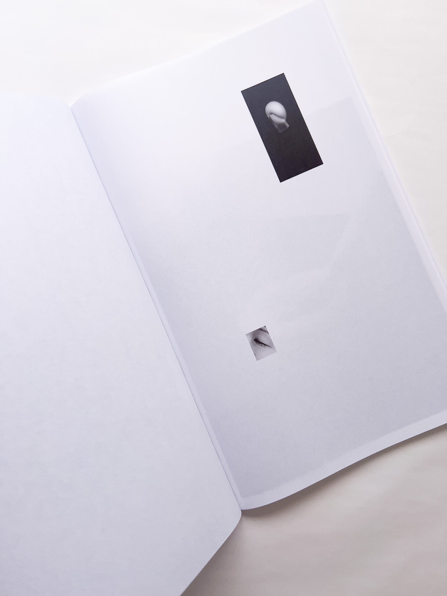 counterpoint / Kazuhei Kimura - 本屋青旗 Ao-Hata Bookstore