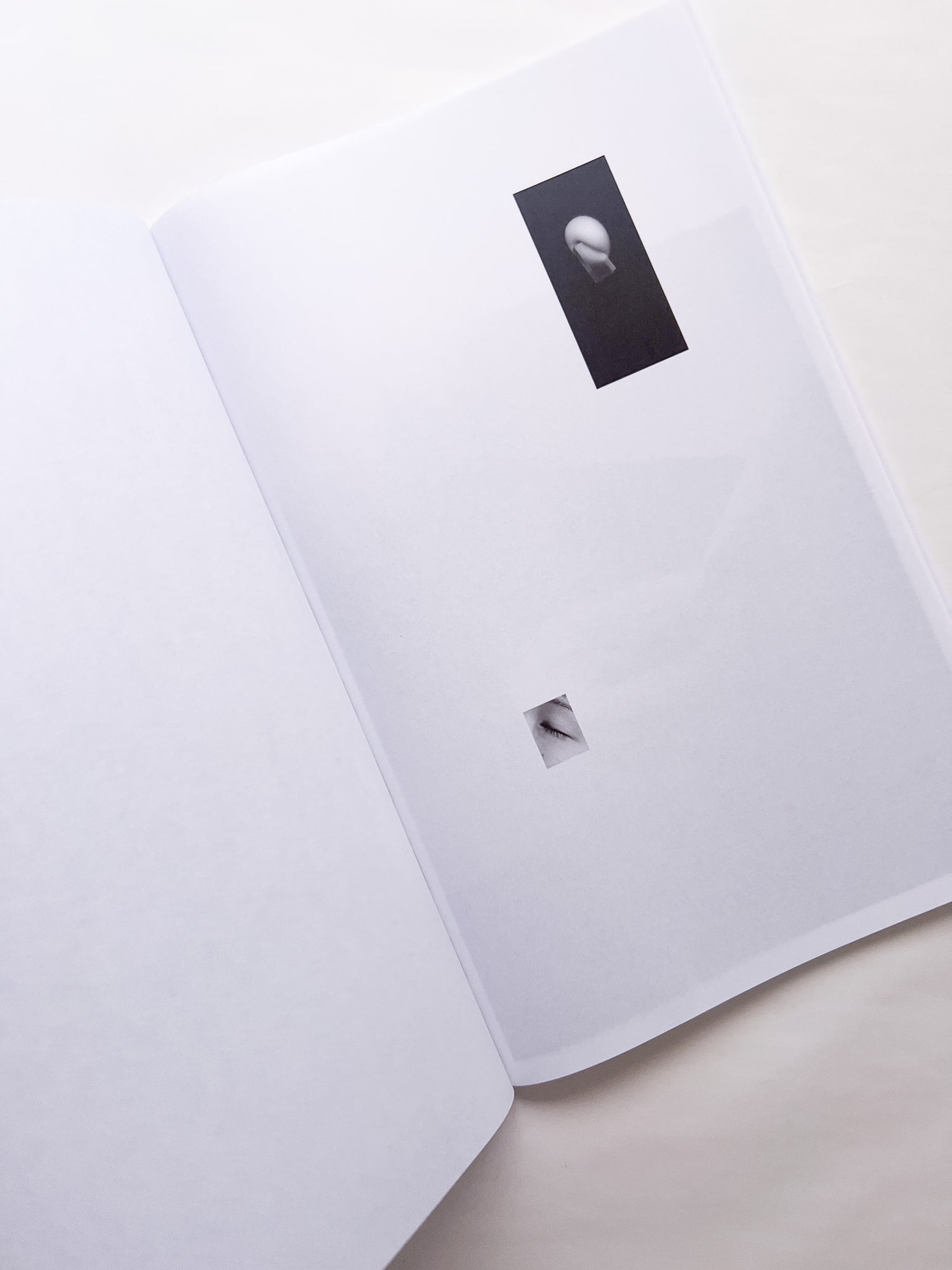 石と桃 counterpoint / Kazuhei Kimura