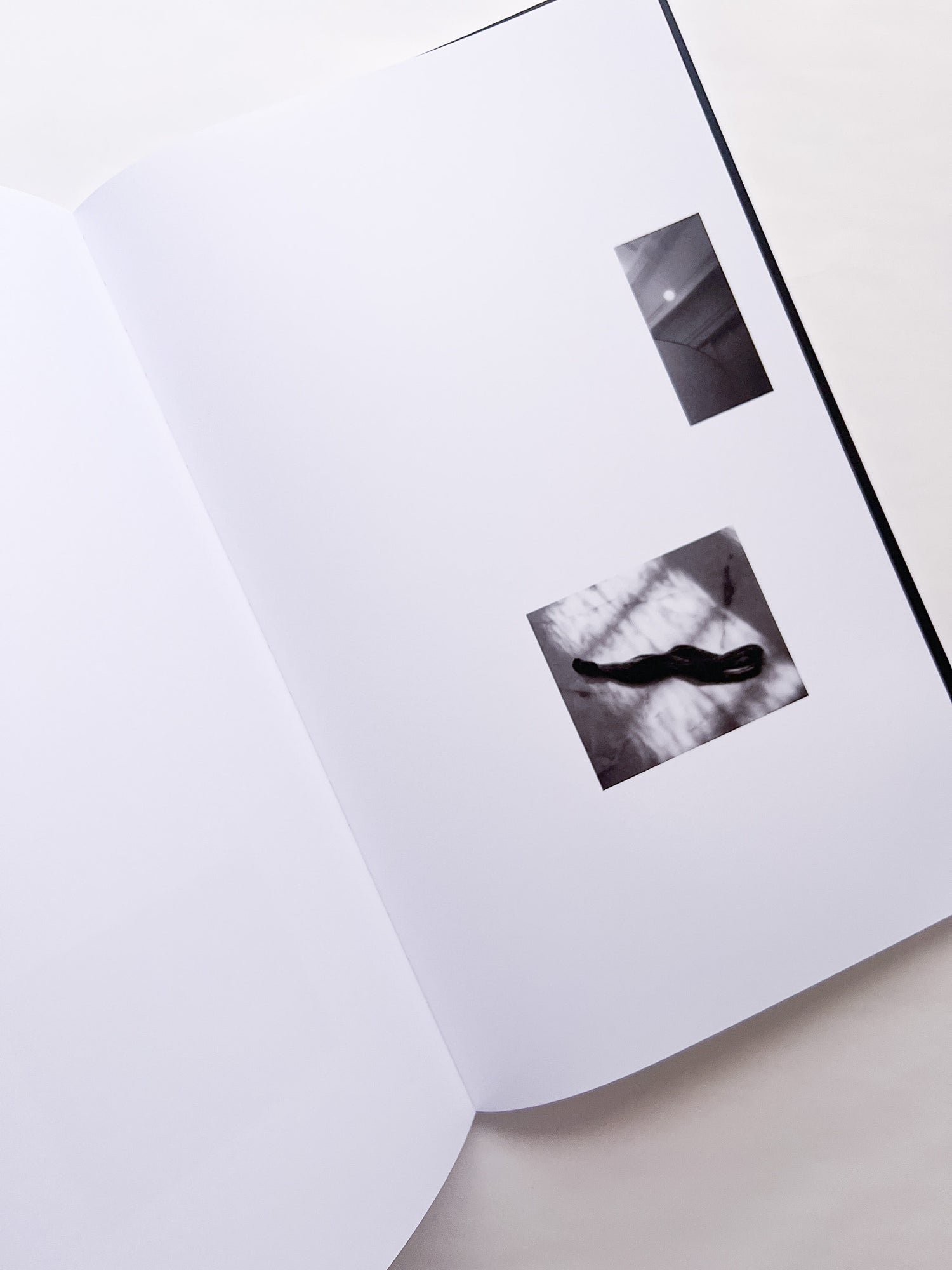 石と桃 counterpoint / Kazuhei Kimura