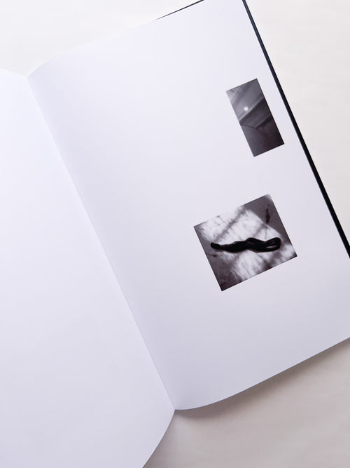 石と桃 counterpoint / Kazuhei Kimura