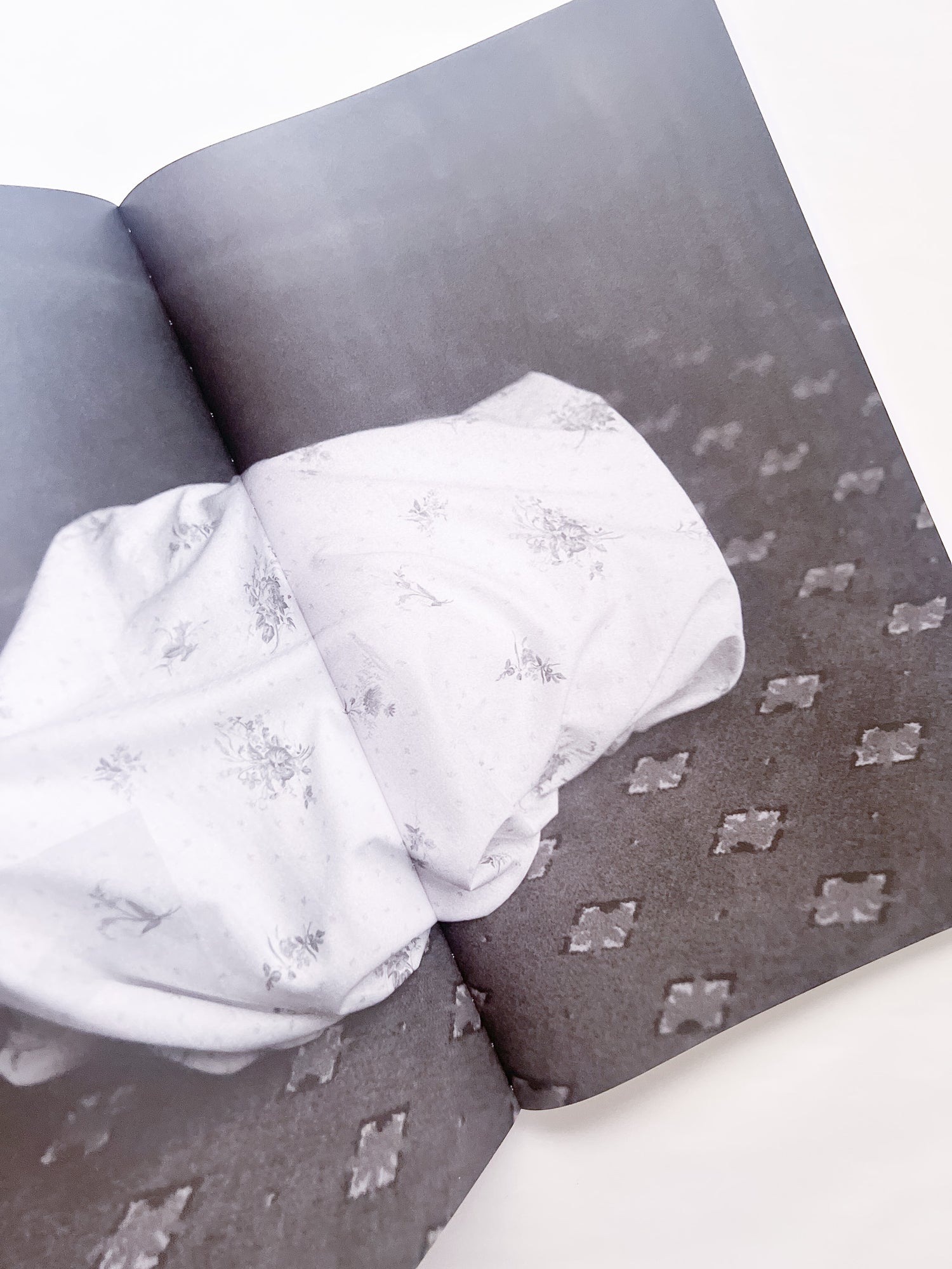 石と桃 counterpoint / Kazuhei Kimura