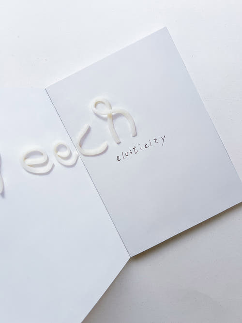 Meech elasticity / John Bock