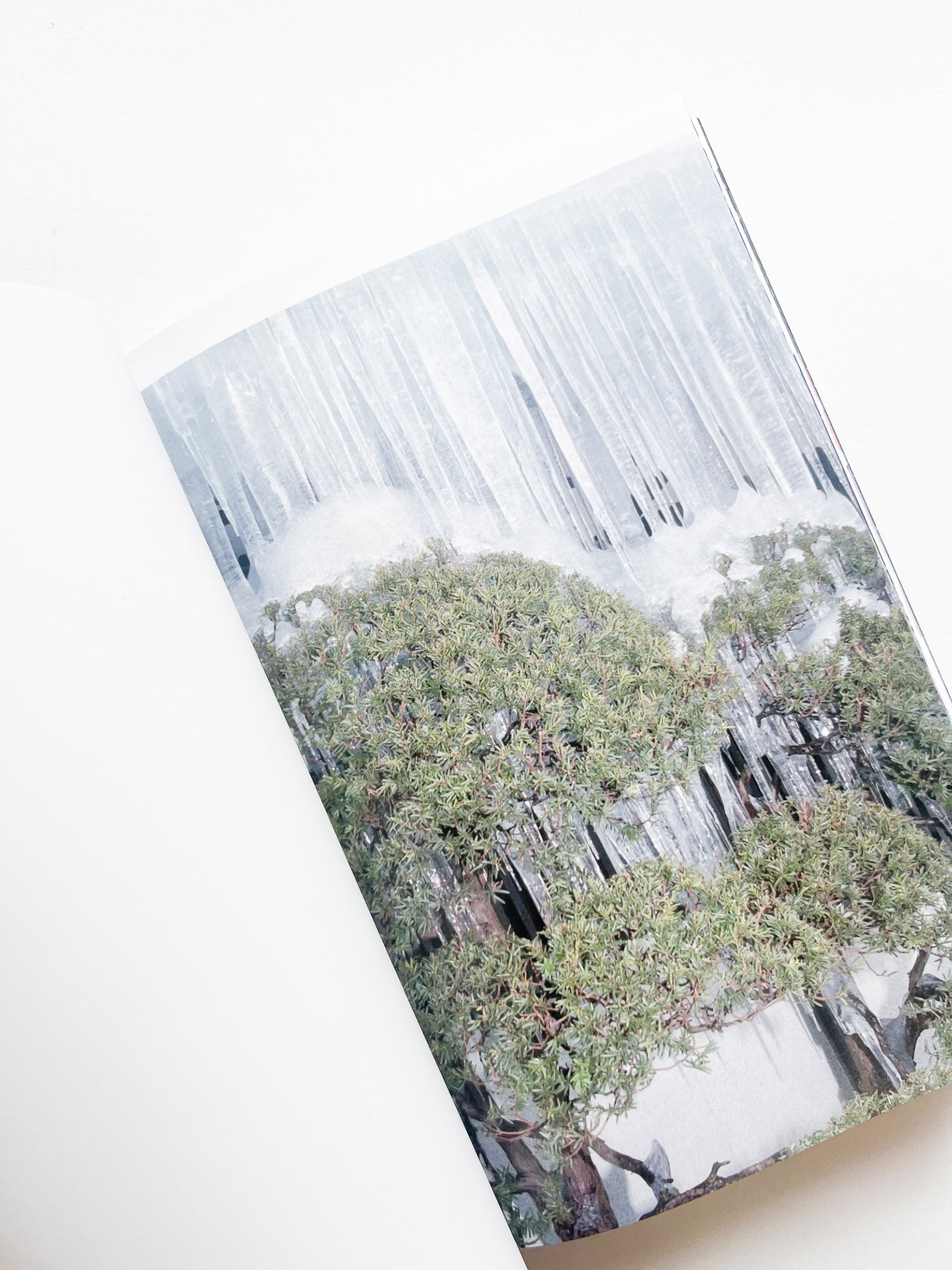 Phantom / Vibration / Taisuke Nakano