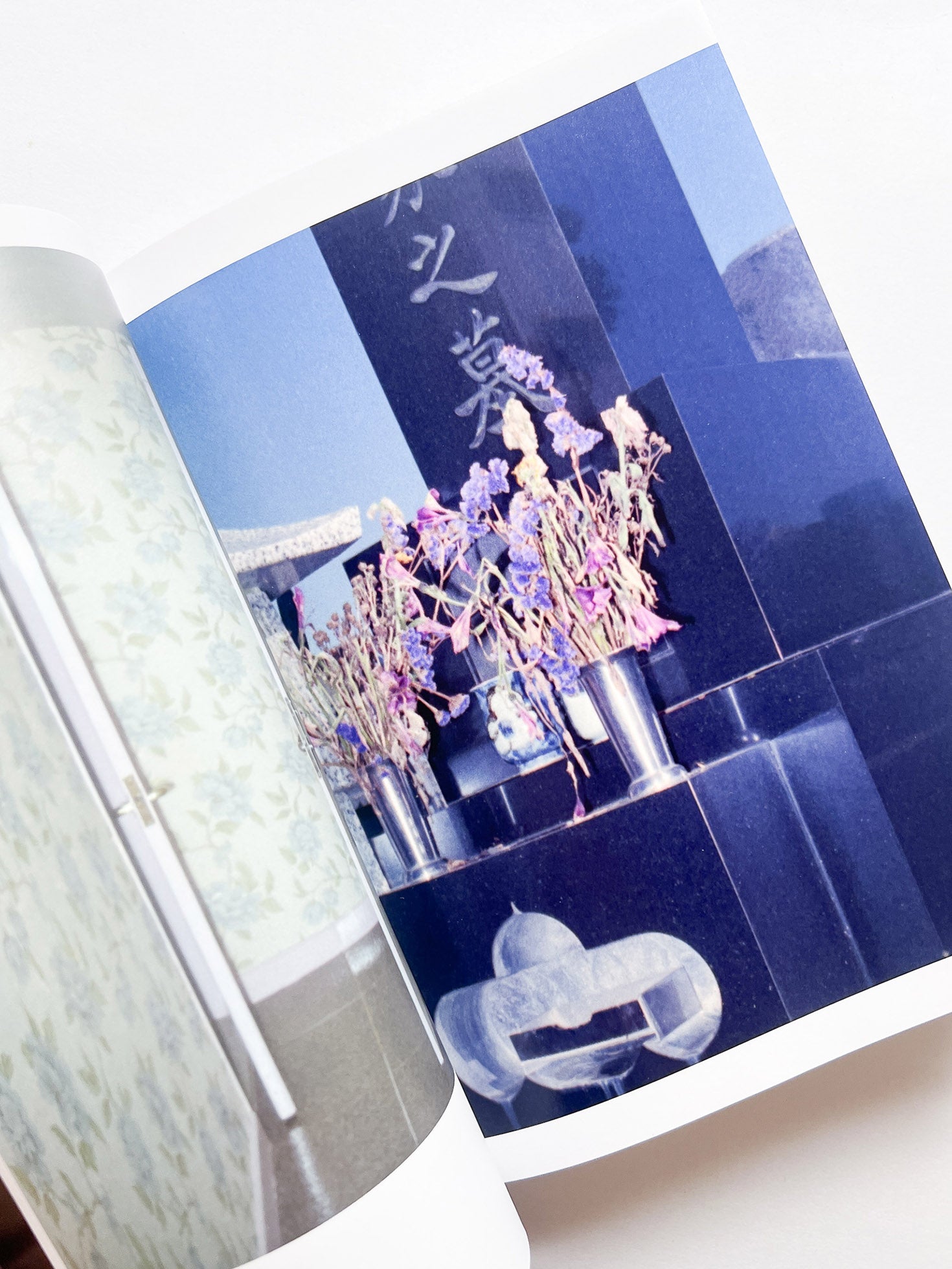 Phantom / Vibration / Taisuke Nakano