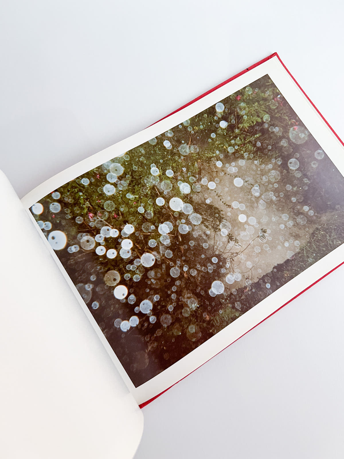 Unseen UK A Book of Photographs by the People at Royal Mail / Stephen Gill