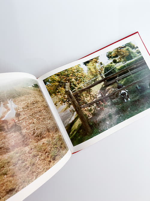 Unseen UK A Book of Photographs by the People at Royal Mail / Stephen Gill