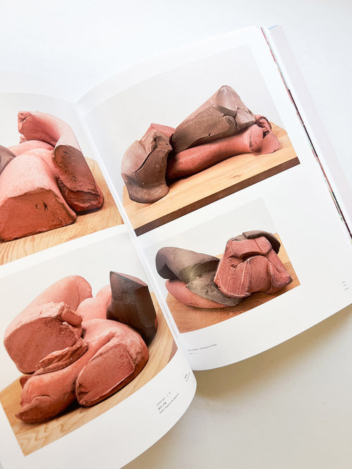 岡﨑乾二郎　視覚のカイソウ [SIGNED]