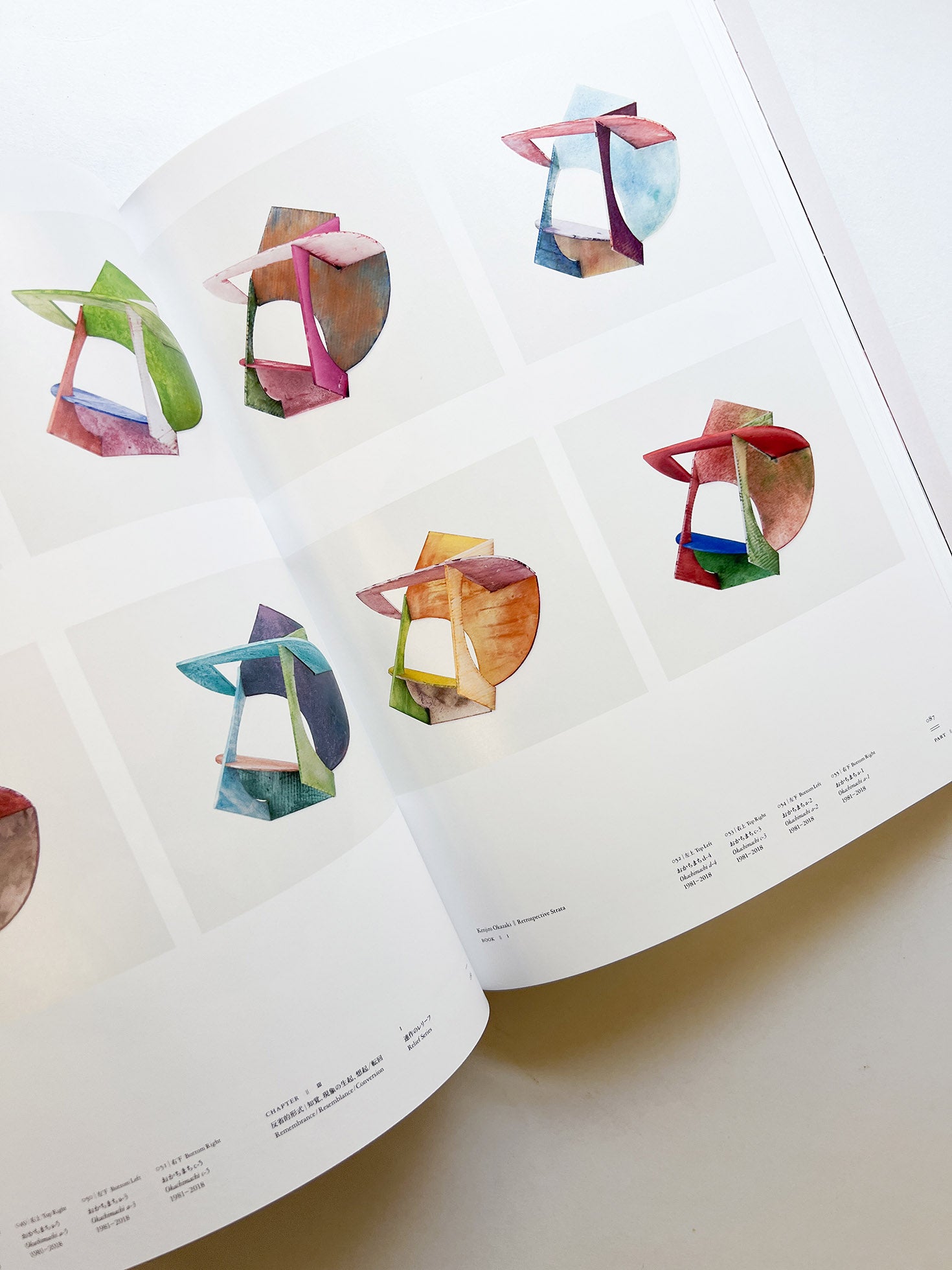 岡﨑乾二郎　視覚のカイソウ [SIGNED]