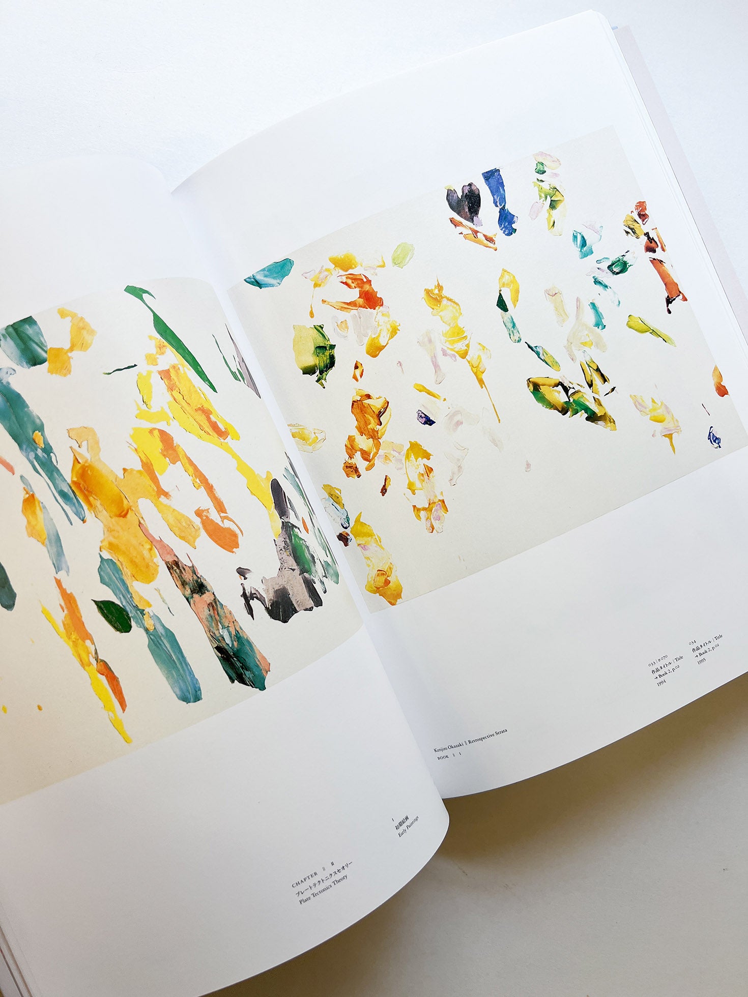 岡﨑乾二郎　視覚のカイソウ [SIGNED]