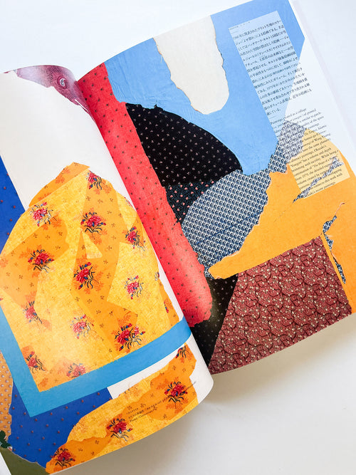 岡﨑乾二郎　視覚のカイソウ [SIGNED]