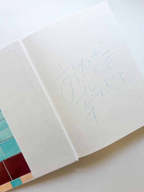 岡﨑乾二郎　視覚のカイソウ [SIGNED]