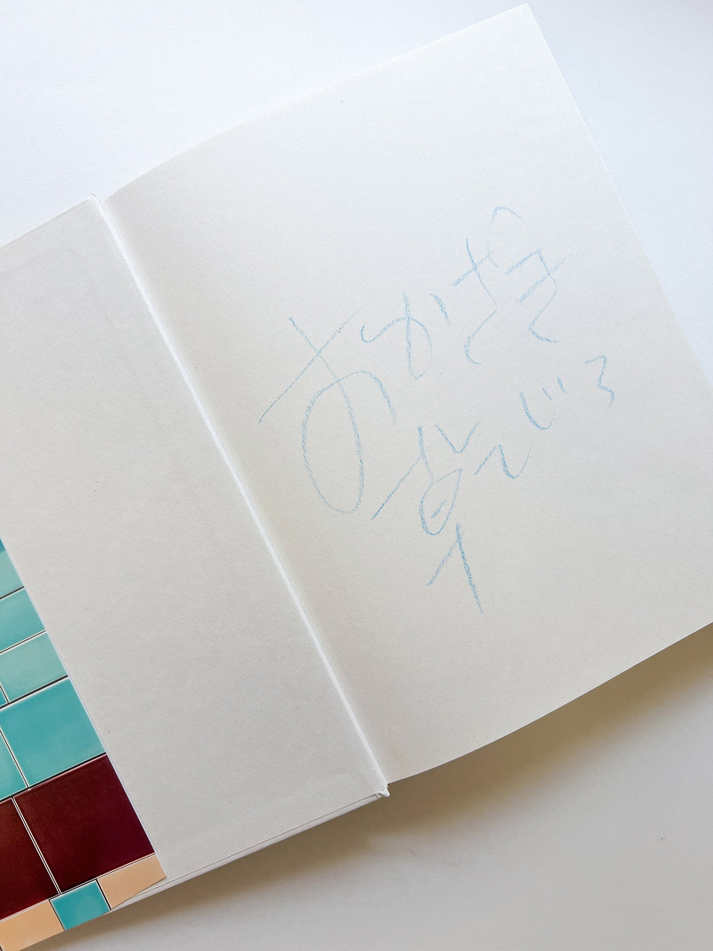 岡﨑乾二郎　視覚のカイソウ [SIGNED]