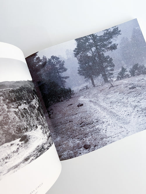 Walking in Circles / Richard Long