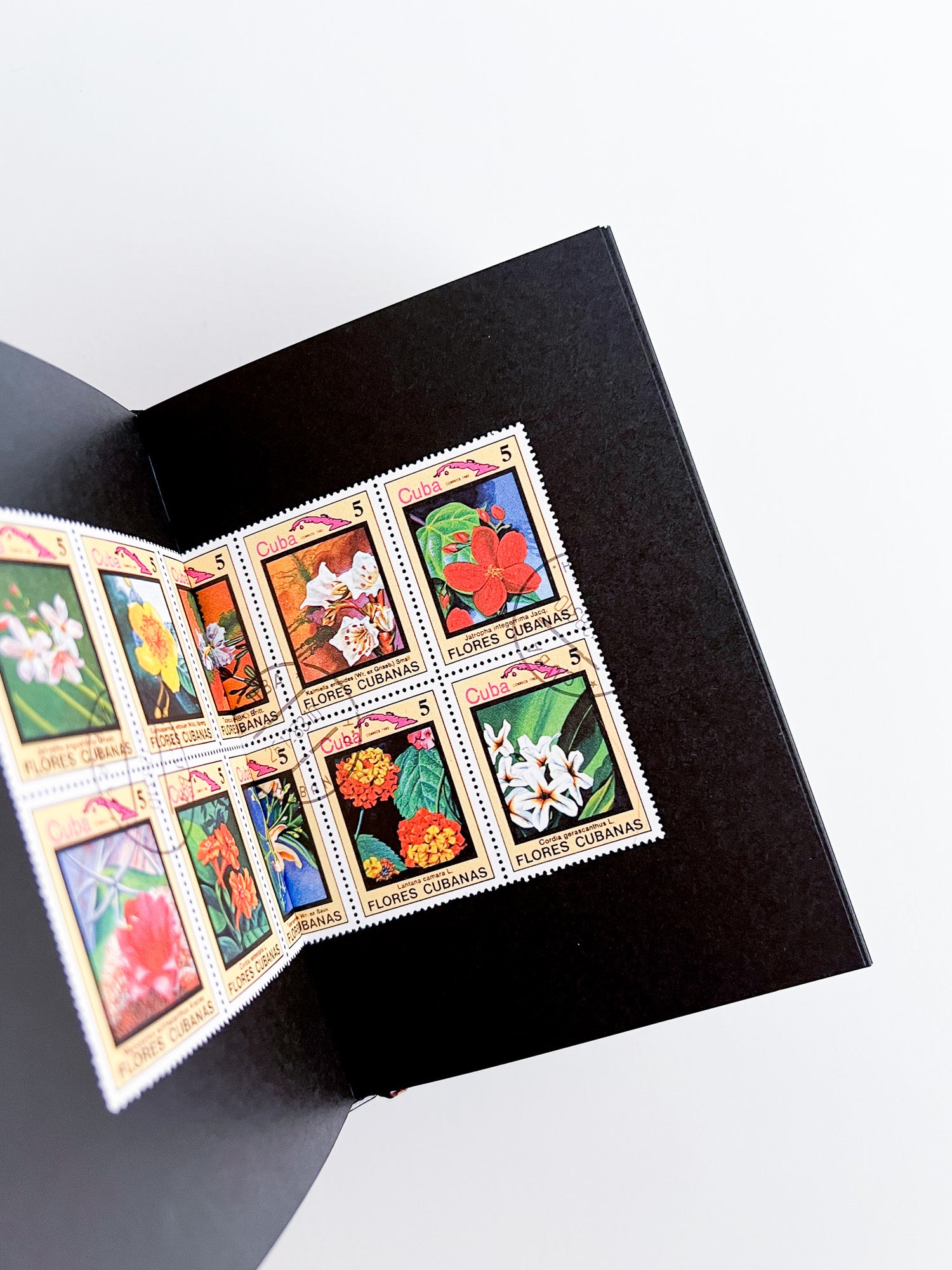 Flower Stamps / Charles Deroyan