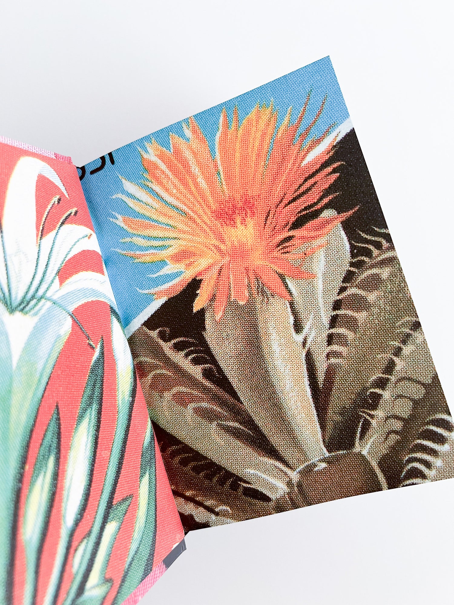 Flower Stamps / Charles Deroyan