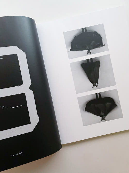 A is for Ant / Jack Davison