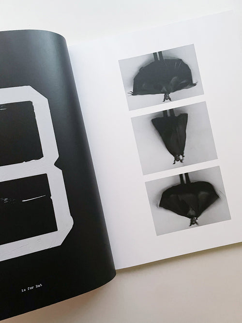 A is for Ant / Jack Davison