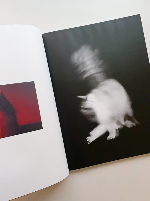 A is for Ant / Jack Davison
