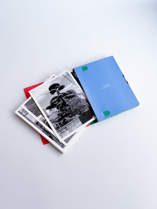 A Guide on Gardening II / Rubén Montesinos