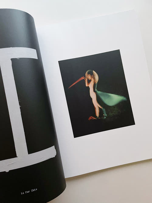 A is for Ant / Jack Davison